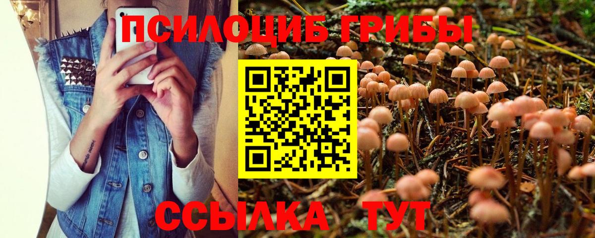 Галлюциногенные грибы ЛСД Валуйки