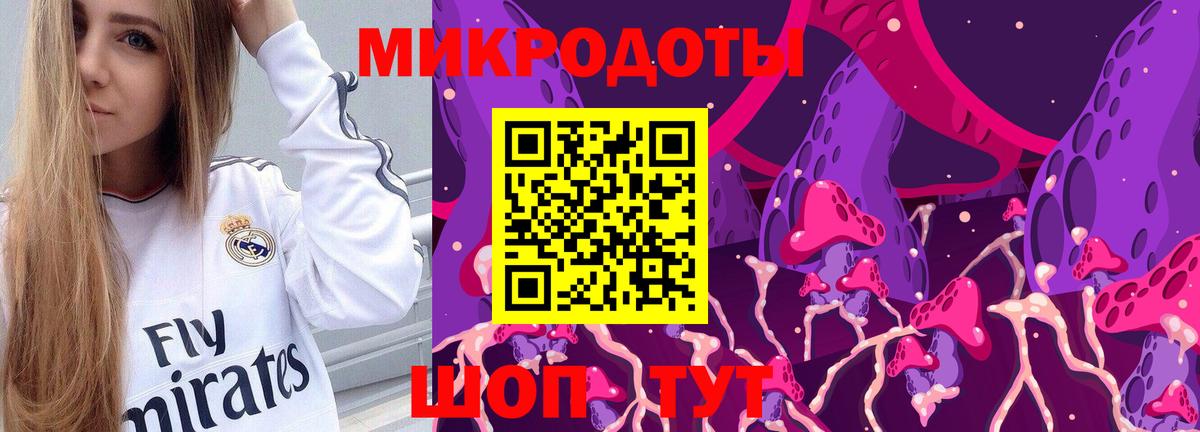 закладка  Вход с VPN  Валуйки  Псилоцибиновые грибы Psilocybe  Псилоцибиновые грибы мухоморы 